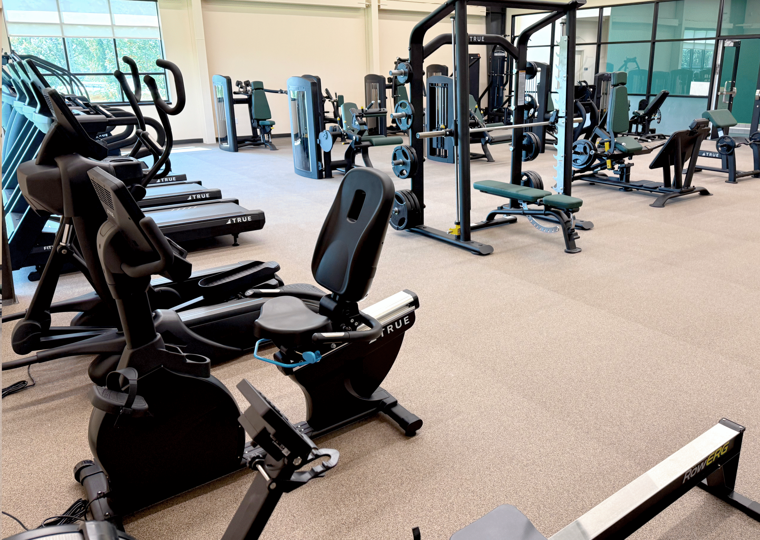 TRUE Commercial Fitness Equipment Room Commercial fitness room with TRUE cardio and strength equipment arranged for optimal performance.