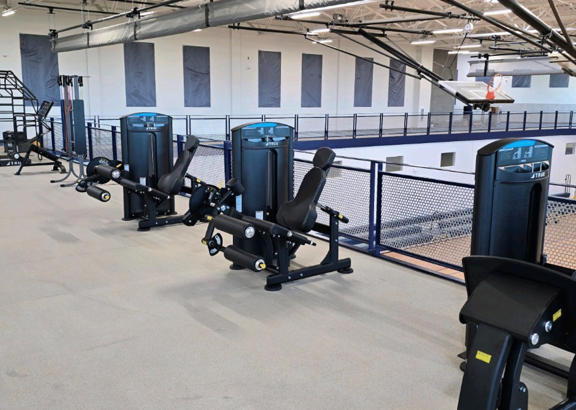 Parks & Recreation Fitness Facility Parks and recreation fitness facility with TRUE strength training equipment overlooking a gymnasium.
