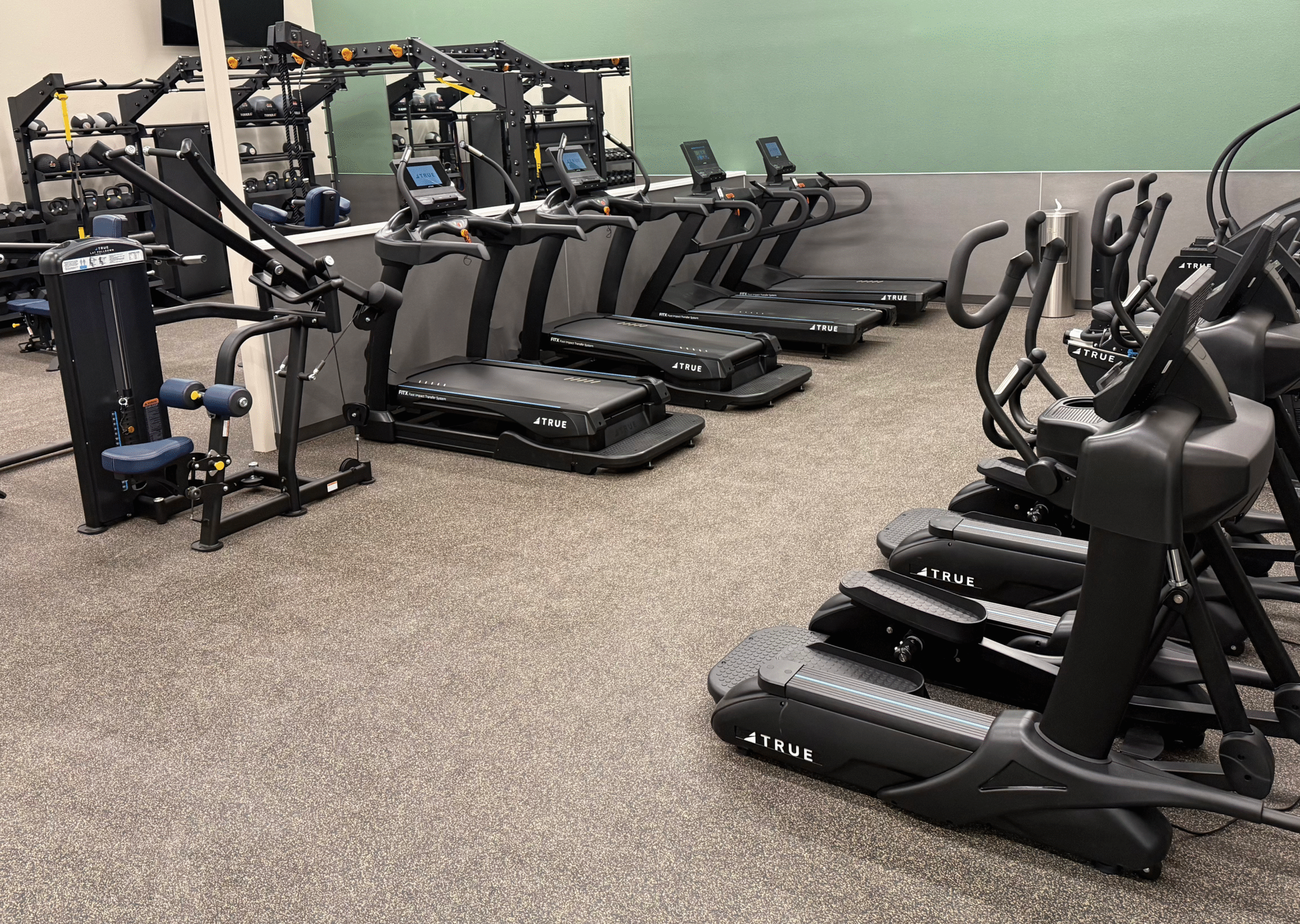 TRUE Fitness Cardio and Strength Equipment Installation TRUE Fitness cardio and strength equipment installed in a modern commercial fitness room.