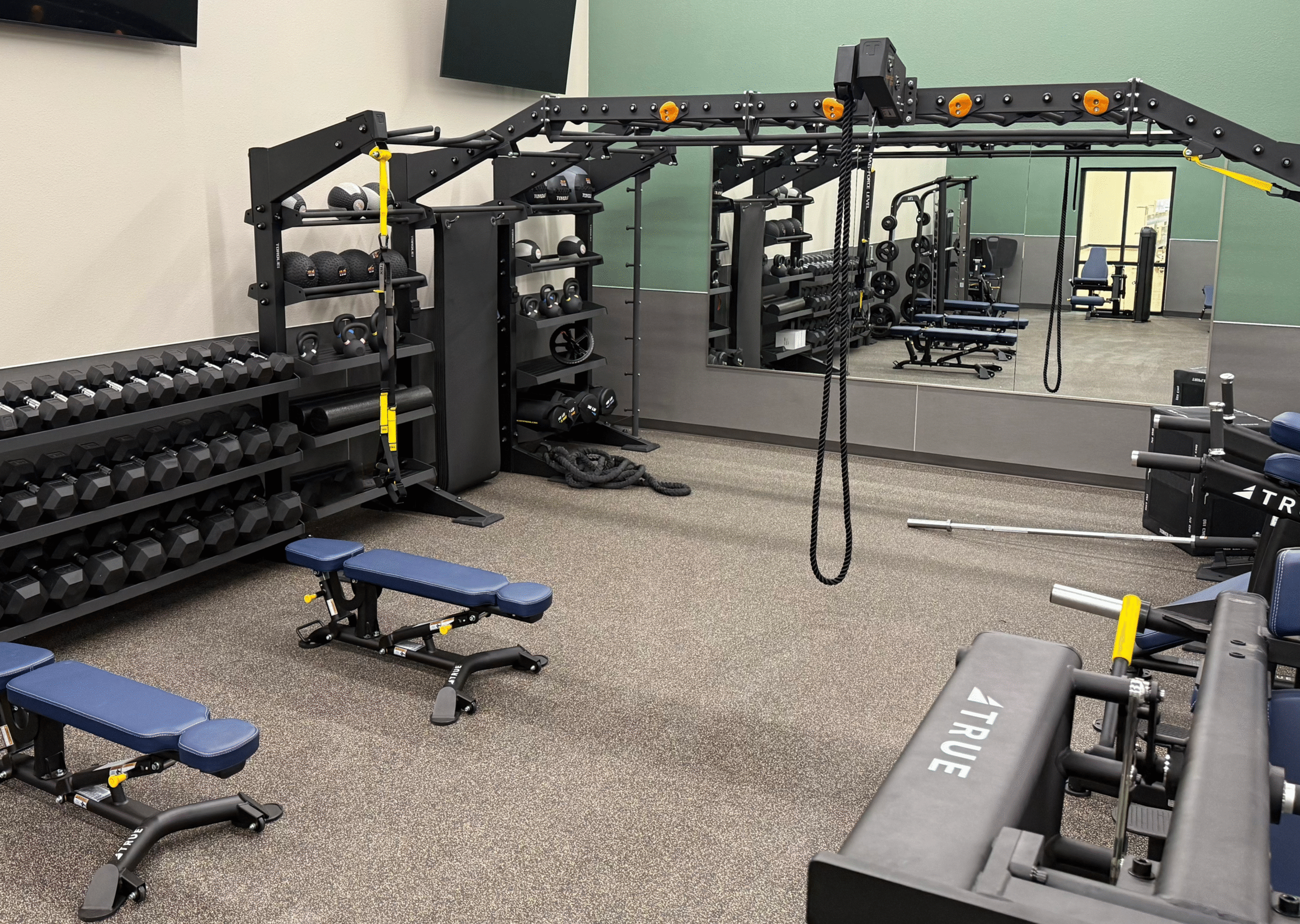 TRUE Fitness Strength Training Area Installation TRUE Fitness strength training area with benches, racks, and dumbbells in a commercial gym.